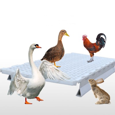 Good Quality Plastic Slatted Floor for Poultry Chicken House